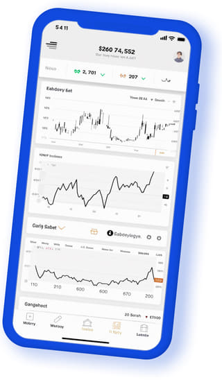 Ampla Medralia digital web application on mobile device